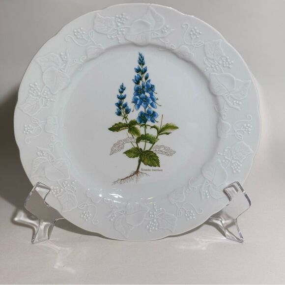 Vintage Dansk Botanical Ivy Veronica Teocrium 9 3/4" Luncheon Plate - Picture 2 of 5